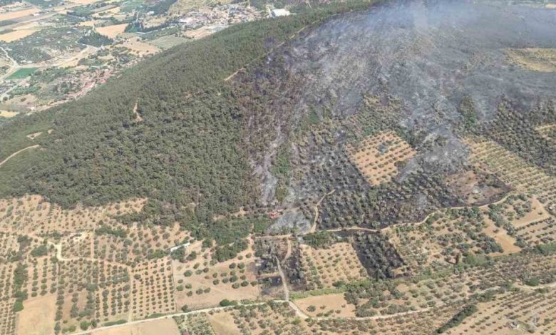 focada ormanlik alanda cikan yangin kontrol altinda a52cec208e6d |