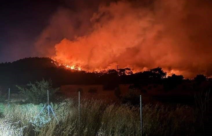 focada yangin devam ediyor 02a5a20632b4 |