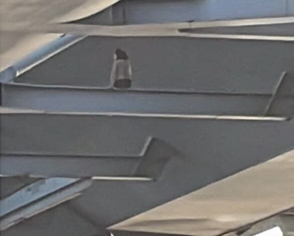 Haliç Metro köprüsünün altındaki demirlerden sarkan kadını çekirdek yiyerek izlediler 1 halic metro koprusunun altindaki demirlerden sarkan kadini cekirdek yiyerek izlediler f962efa85feb |