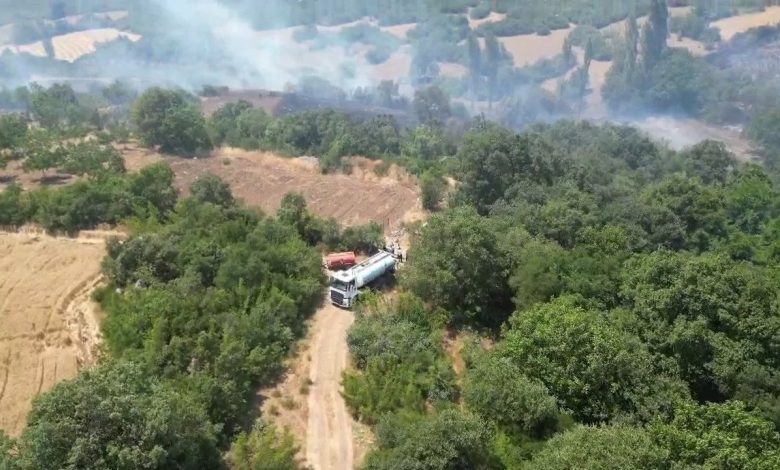 İnegöl’de orman yangını kontrol altına aldı, yangının çıkış nedeni ortaya çıktı 1 inegolde orman yangini kontrol altina aldi yanginin cikis nedeni ortaya cikti 77a759400b4b |