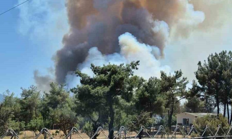 izmir bornovada orman yangini 7990538991fa |