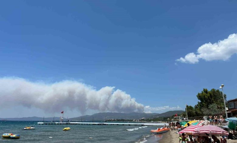izmir mendereste orman yangini 5ddcbfb4f75f |