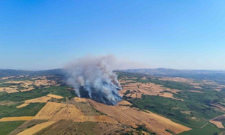 izmir otoyolunun yani basindaki yangina 3 helikopter mudahale etti ae905b30297b |