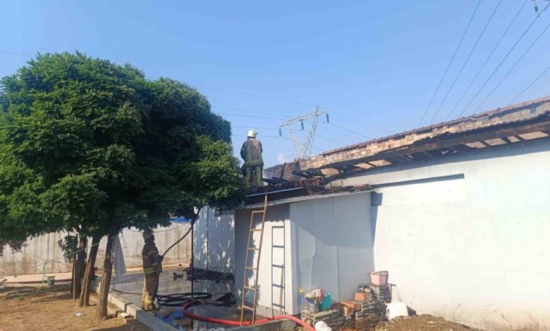 izmirde ciftlik yangini 1 yasindaki bebek agir yaralandi 0974c279f6cf |