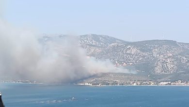 izmirde cikan orman yanginina havadan ve karadan mudahale basladi 000142ac771d |
