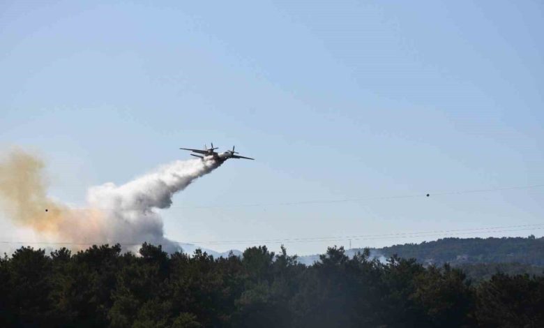 izmirde orman yangini kontrol altinda 1417db853db5 |