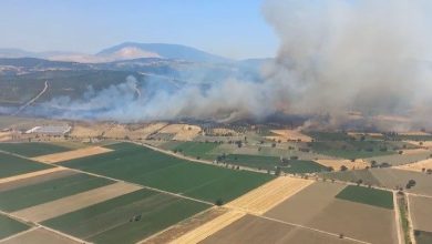 izmirde orman yanginina havadan ve karadan mudahale 0a76672a6b8e |