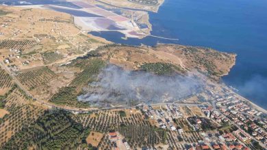 izmirde orman yanginina havadan ve karadan mudahale f73e6d79bbc2 |