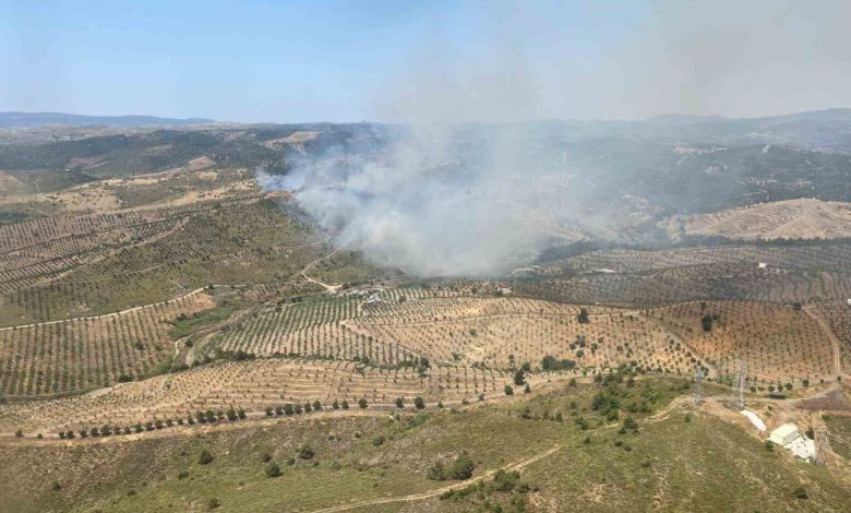 izmirde ormanlik alanda yangina havadan ve karadan mudahale basladi 53453c49b447 |