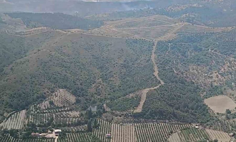 izmirde ormanlik arazide cikan yangin kontrol altinda 35cd1e47f7da |