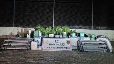 izmirde skunk operasyonu 183 kok ele gecirildi d3cdcb1534d1 |