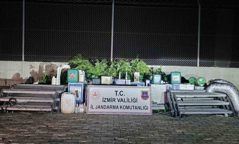 izmirde skunk operasyonu 183 kok ele gecirildi d3cdcb1534d1 |