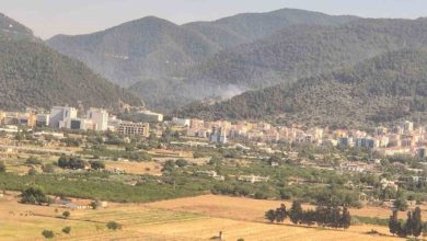 izmirdeki orman yanginlari kontrol altinda fa8475ce4d33 |