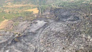 kepsuttaki orman yanginlari kontrol altina alindi ef7cbb2757dd |