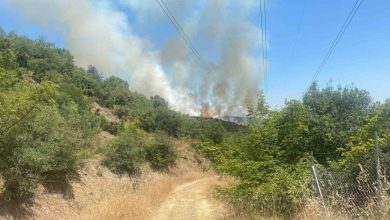 kestelde ayni ormanin ayni yerinde yeniden yangin basladi d301344ed5e2 |