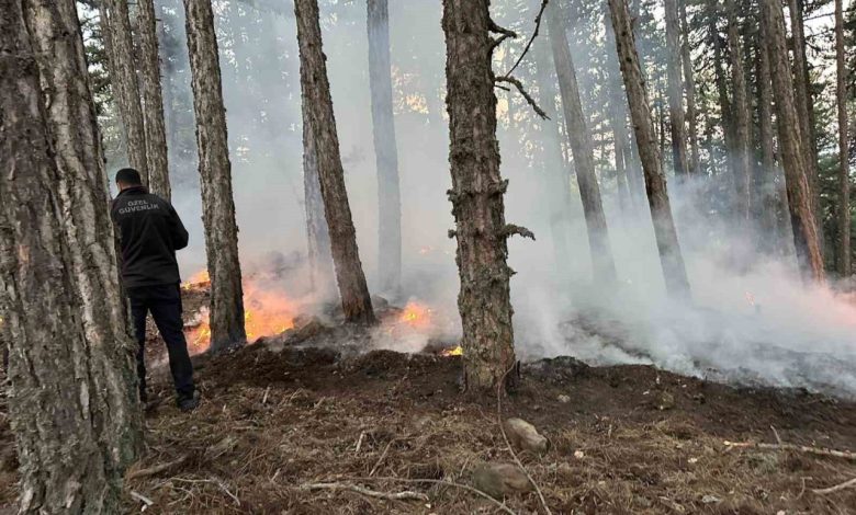 Kızılcahamam Soğuksu Milli Parkı’nda piknikçi ateşinden yangın çıktı 1 kizilcahamam soguksu milli parkinda piknikci atesinden yangin cikti 929d2b3155f8 |