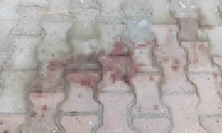Komşusunun balkonundan kendi evine geçmeye çalışırken düşen kadın ağır yaralandı 1 komsusunun balkonundan kendi evine gecmeye calisirken dusen kadin agir yaralandi 20dc69547248 |