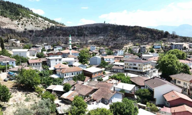 ozel zumrut yesili orman manzaralari komurluge dondu d74ff42aac78 |