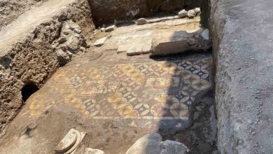 papanin gelecegi iznikte muthis kesfin sirri belli oluyor 13673315e23a |