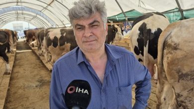 polisten kurban pazarinda sahte para ve dolandiricilik uyarisi 3ce53e178ca3 |