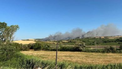 susurlukta arazi yangini sondurme calismalari suruyor e820ec22bf17 |
