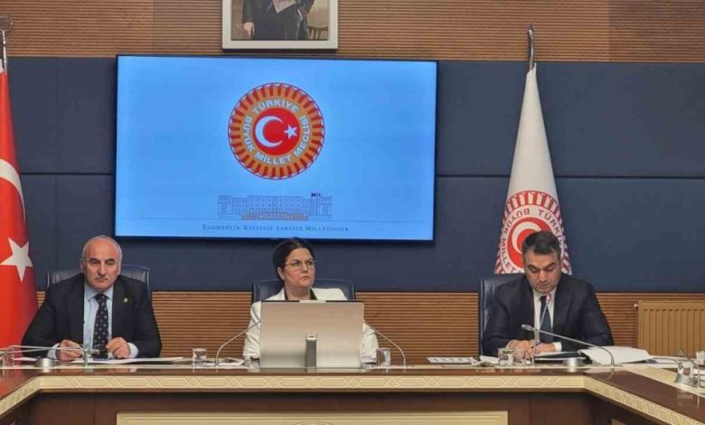 TBMM İnsan Haklarını İnceleme Komisyonu, alt komisyonların kurulması amacıyla toplandı 1 tbmm insan haklarini inceleme komisyonu alt komisyonlarin kurulmasi amaciyla toplandi 8a9f08b55af2 |