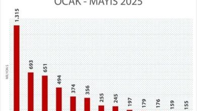 ticaret bakanligina bagli serbest bolgelerden tarihi rekor mayis ayi ihracati 1 milyar 180 milyon dolari asti 5cafb67f7b7e |