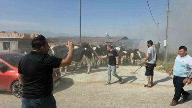 tirede makilik alandaki yangin koye sicradi bazi evler ve damlar kule dondu 7728bc6f128d |