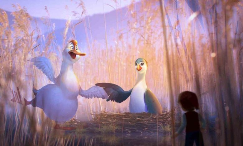 ucan kaza turk ortak 9ad41e9cd017 |