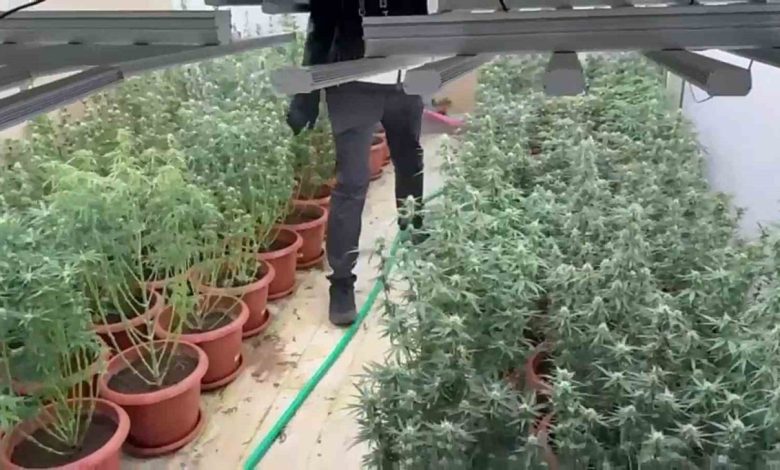 Villayı kenevir bahçesine çevirmişler 1 villayi kenevir bahcesine cevirmisler f8745f4c3fcc |