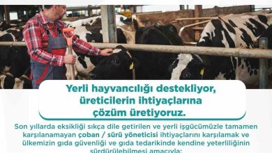 yabanci cobanlar icin calisma izni basvurulari basladi c3b86d3d2779 |