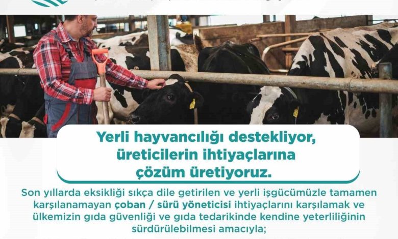 yabanci cobanlar icin calisma izni basvurulari basladi c3b86d3d2779 |