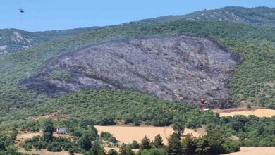 yenisehir ilcesindeki yangin sonduruldu 71506c5901b5 |