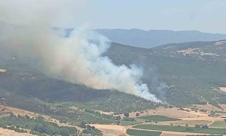 Yenişehir’deki yangının gücü azaldı 1 yenisehirdeki yanginin gucu azaldi d25eae4b3e48 |