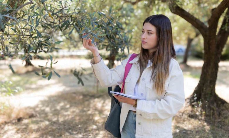 zeytin uretimine yapay zeka ile takip 032c61bde647 |