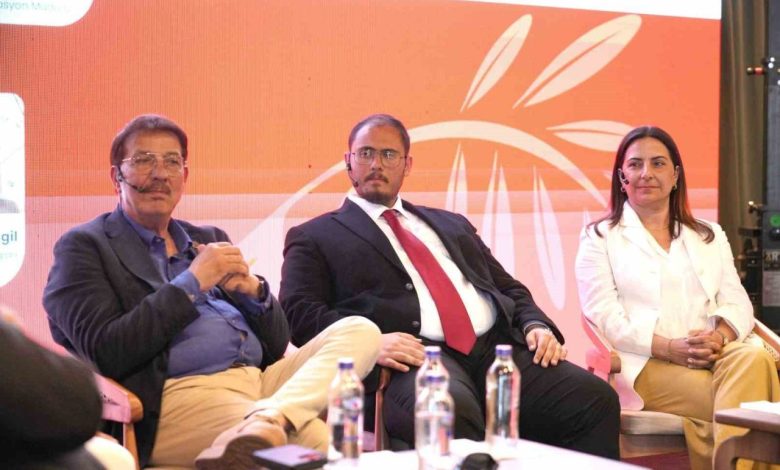 zeytinyaginda fiyat dususu bekleniyor c792771698b1 |