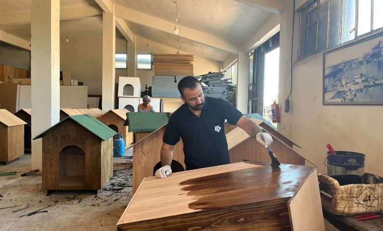 Bandırma Belediyesi’nden patili dostlara sıcak bir yuva 1 1000692599 |