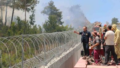 afad hatay yayladagi yanginlara 734 personel 7 ucak 14 helikopter 215 arac ile mudahale edilmektedir 10d819a3b85c |
