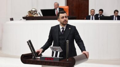 ali taylan oztaylan |