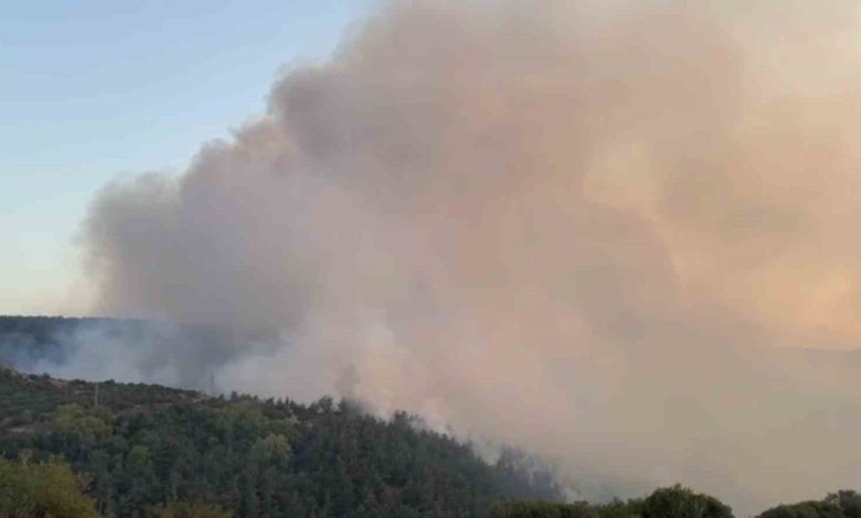 Altıeylül’deki orman yangınına müdahale sürüyor 1 altieyluldeki orman yanginina mudahale suruyor 4fa8977def23 |