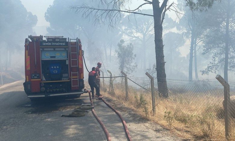 aniz yangini ormana sicradi 16 hektar kul oldu 4a30c6136fcf |