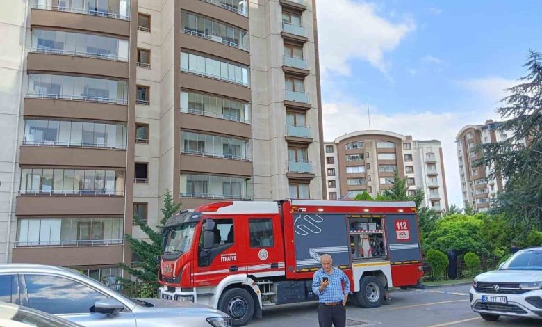 Ankara’da 14 katlı binada çıkan yangında mahsur kalan anne ile oğlu kurtarıldı 1 ankarada 14 katli binada cikan yanginda mahsur kalan anne ile oglu kurtarildi 02afdc0dd4e6 |