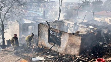ankarada agaclik alanda cikip gecekondulara sicrayan yangin sonduruldu 4ae5c3c48821 |