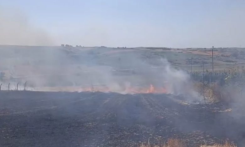 arnavutkoyde tarla yangini 202af7f28ffb |