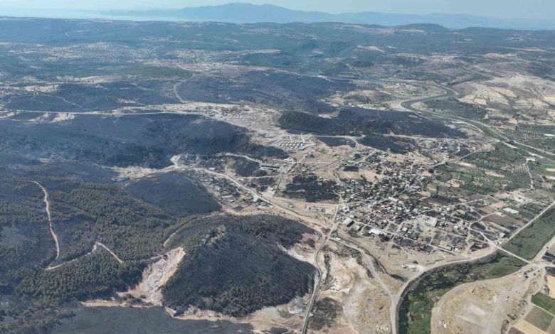 ayvacikta yangin 21 saatin ardindan kontrol altina alindi 657c556afd2b |