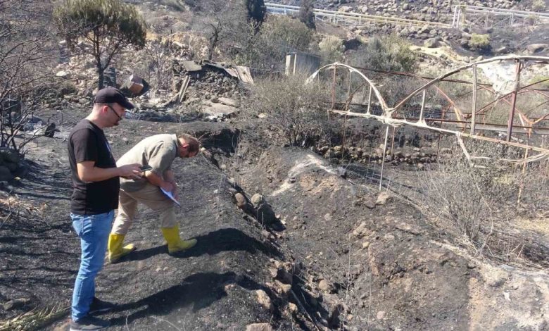 ayvacikta yangindan etkilenen alanlarda hasar tespit calismalari basladi da9aa69d2306 |