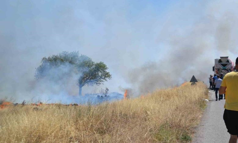 Ayvalık’ta çıkan arazi yangını bölgedeki iş yerlerini tehdit etti 1 ayvalikta cikan arazi yangini bolgedeki is yerlerini tehdit etti fb00dda11a2c |
