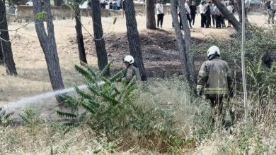 bakirkoy ruh ve sinir hastaliklari hastanesi bahcesinde yangin 578d7ec5217a |