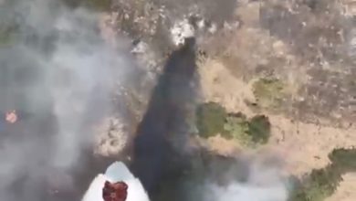 balikesirde orman yangini kontrol altina alindi ddeed9cf24b0 |