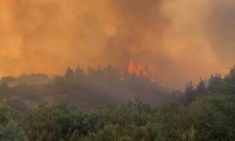 balikesirde orman yangini 0961a6baa604 |